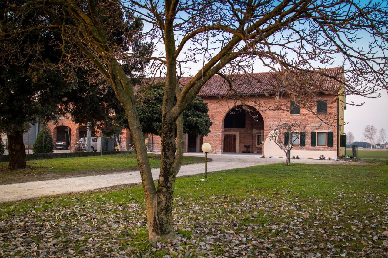 Villa Casa Norma Piano Terra San Martino di Lupari Exterior foto